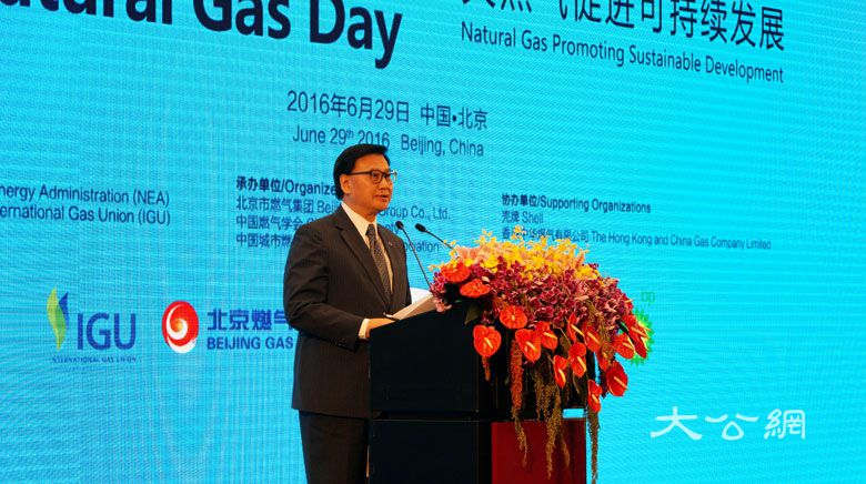巴西在G20能源转型中的领导地位