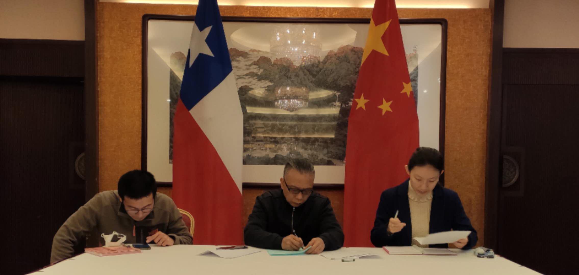 智利外交部牵头成立国际经济和贸易形势分析小组