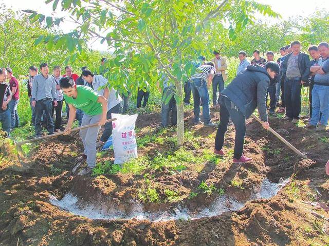 化肥进口延迟影响尼东南部农民