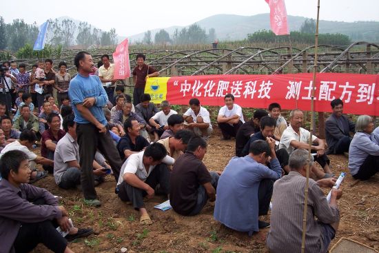 化肥进口延迟影响尼东南部农民