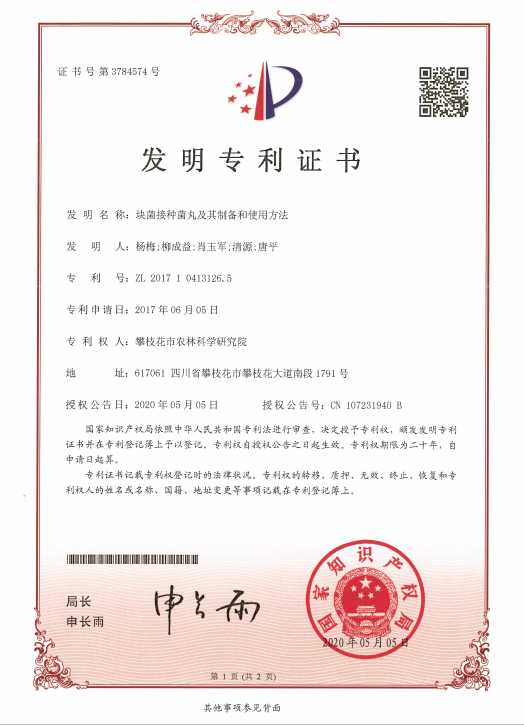 盛视科技获得发明专利授权：“自动翻页装置及自动翻页方法”