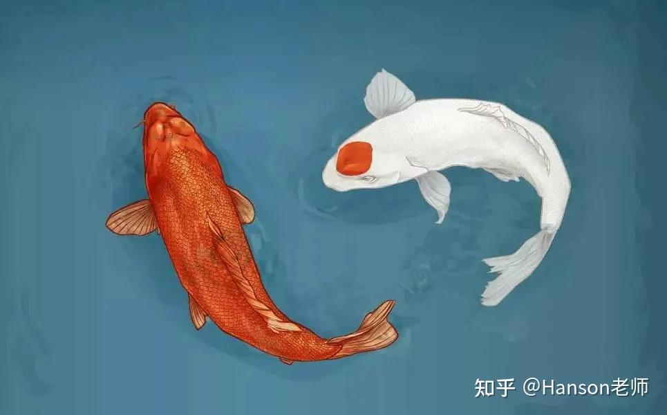 新发提速VS存量萎缩 公募FOF“加减法”怎么做？